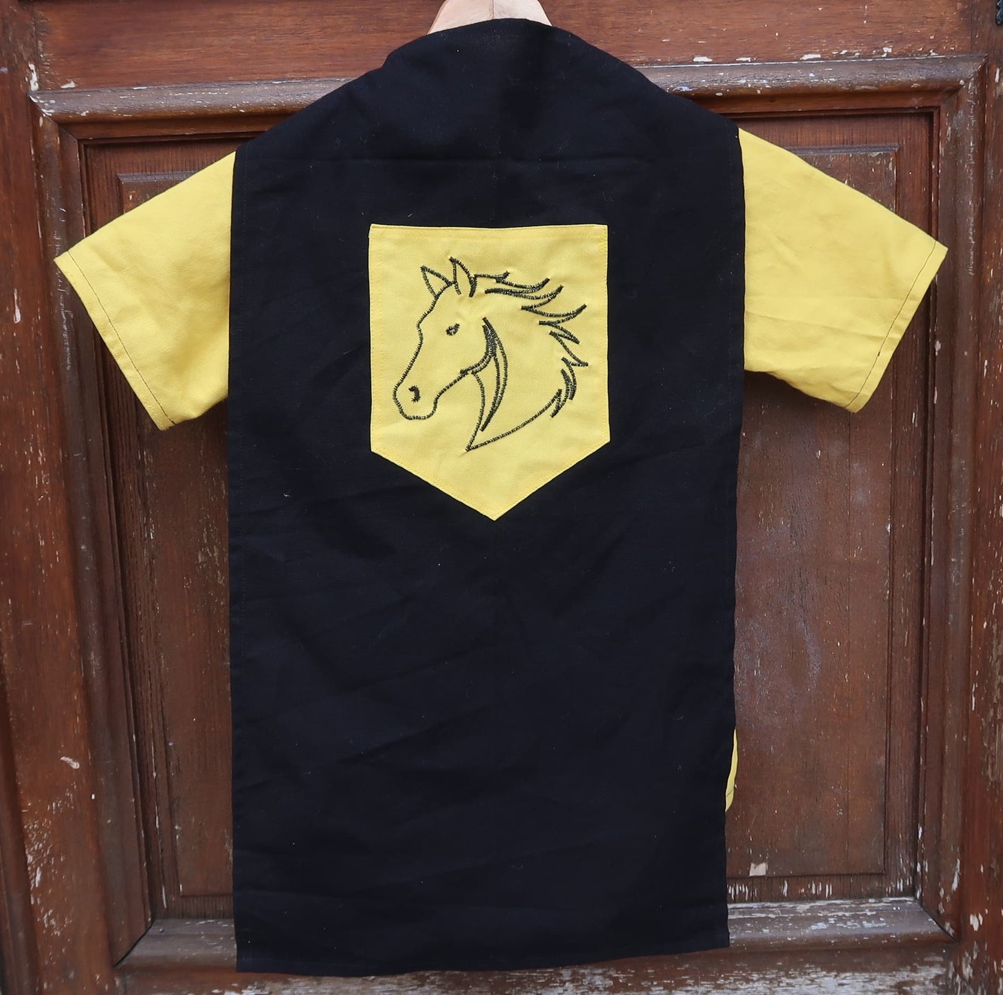 Déguisement Chevalier